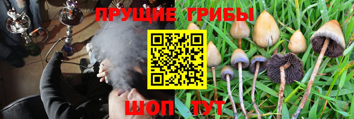 Галлюциногенные грибы Magic Shrooms Михайловка