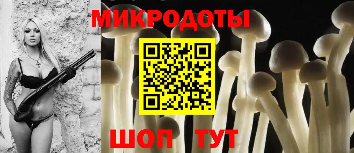 Псилоцибиновые грибы MAGIC MUSHROOMS  Псилоцибиновые грибы Psilocybine cubensis  Михайловка  Вход с VPN 